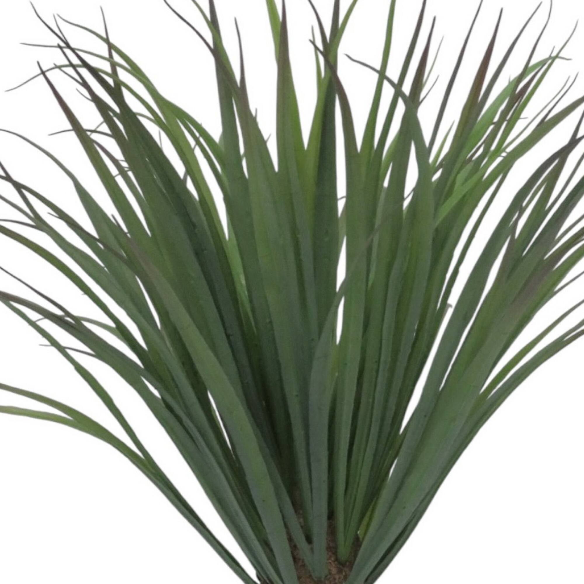 21.5" Agave UV Bush by Ashland®